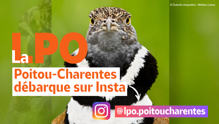 Restez à la page, suivez-nous sur Insta !